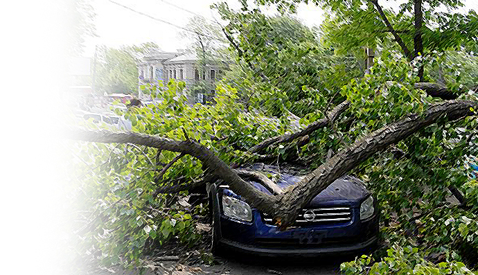 Упало дерево или сосулька на автомобиль